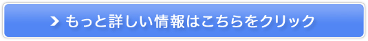 f܁ynChouoXz̔TCg